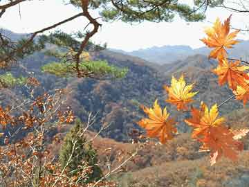 文山最新医保卡提现方法支付宝方法分析(最方便真实的文山医保卡提现方法支付宝嶶新qw413612助君取出方法)